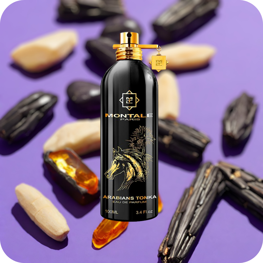 Montale Arabians Tonka | Probe