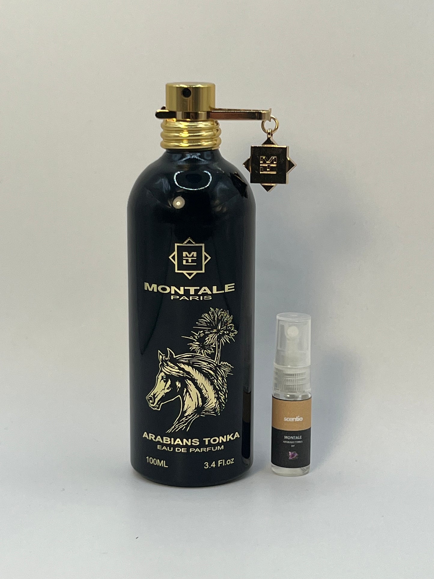 Montale Arabians Tonka | Probe